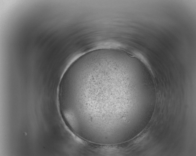 X0000068301103200604281703