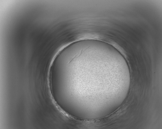 X0000068301104200604281703