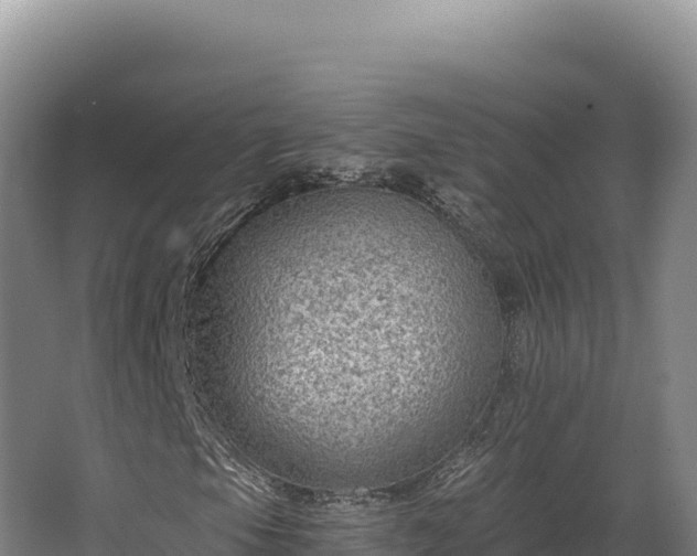 X0000068301105200604281702