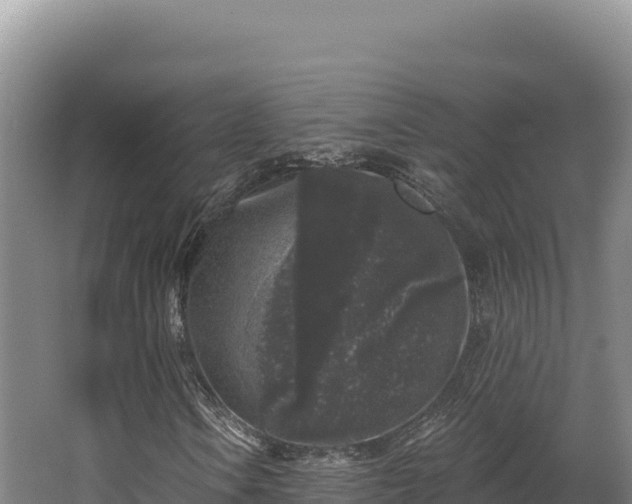 X0000068301106200604281702