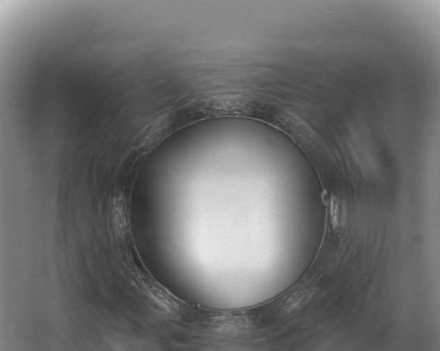 X0000068301107200604281702