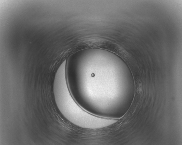 X0000068301108200604281702