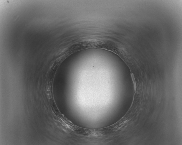 X0000068301109200604281702