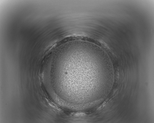 X0000068301110200604281702