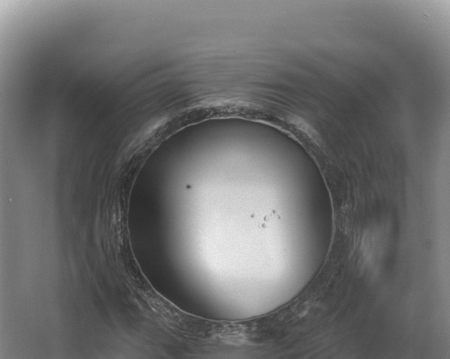 X0000068301111200604281702