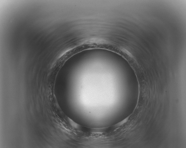 X0000068301112200604281702