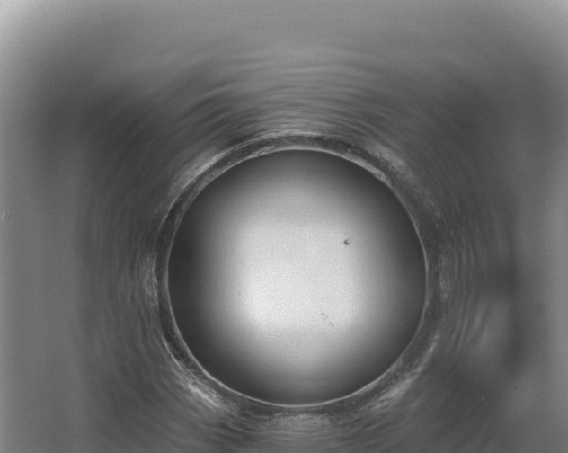 X0000068301113200604281702