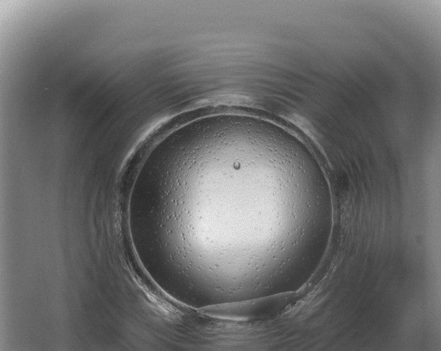 X0000068301115200604281702