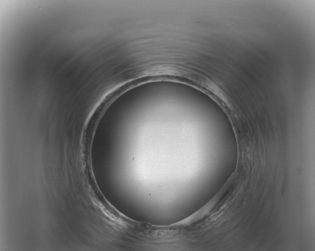 X0000068301116200604281702