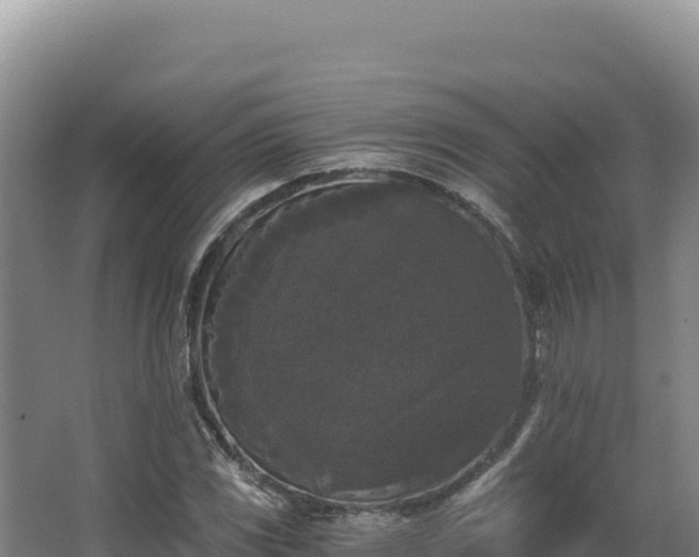 X0000068301117200604281702