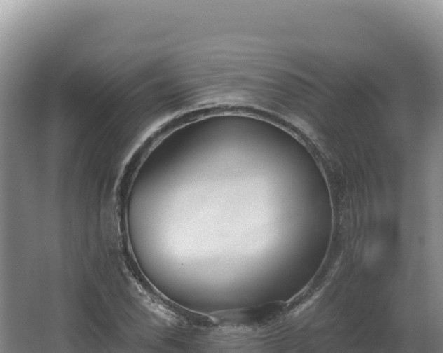 X0000068301118200604281702