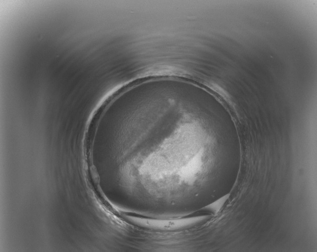 X0000068301120200604281702