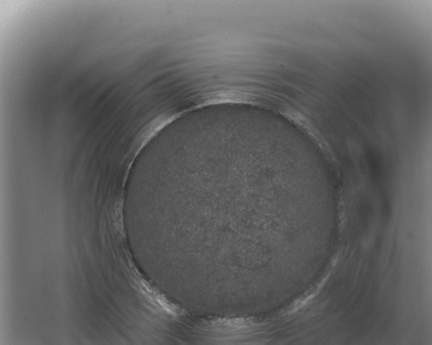 X0000068301121200604281702