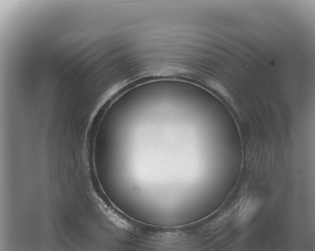 X0000068301122200604281702