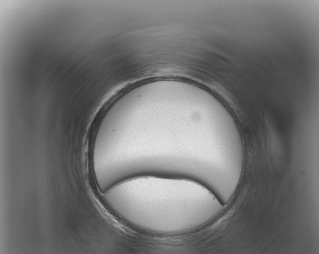 X0000068301126200604281702