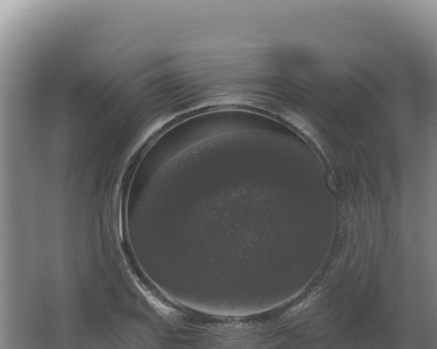 X0000068301127200604281702