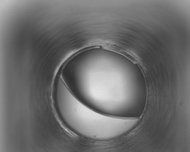 X0000068301128200604281702