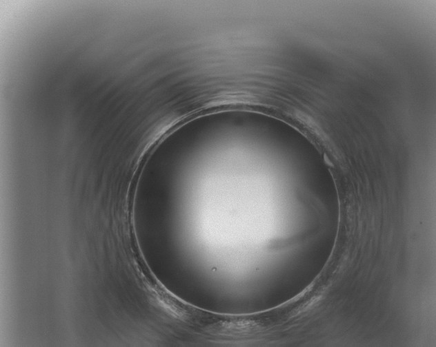 X0000068301129200604281702