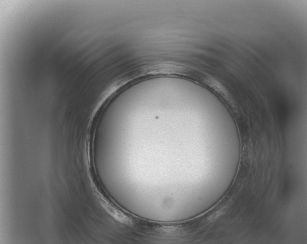 X0000068301130200604281702