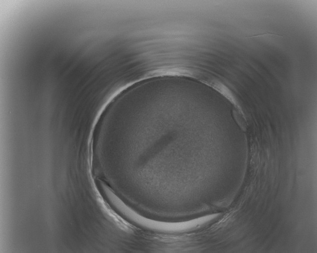 X0000068301132200604281702