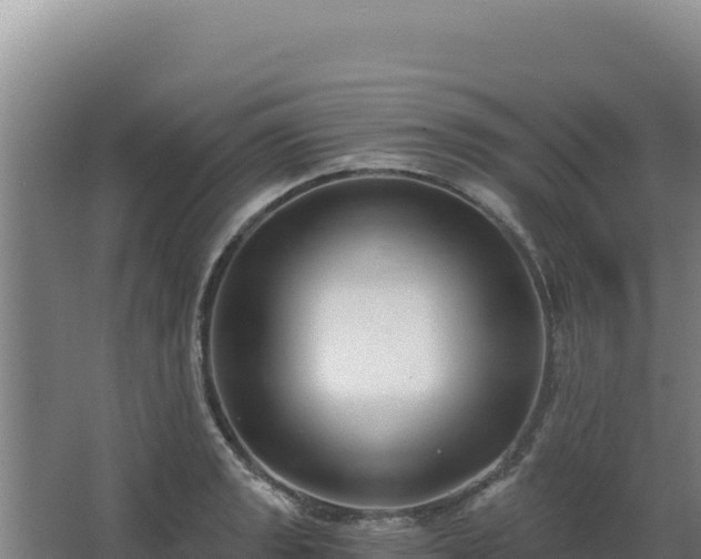 X0000068301133200604281702