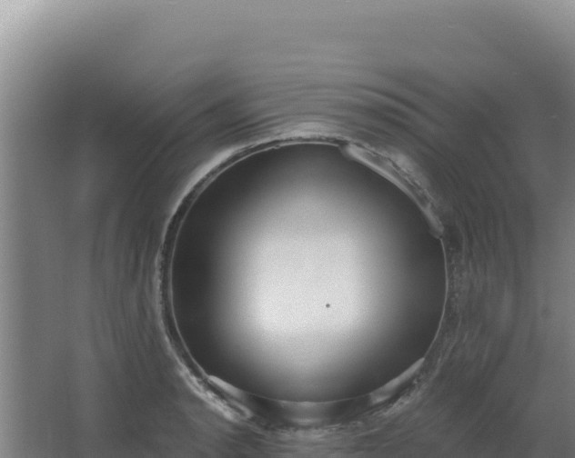 X0000068301134200604281702