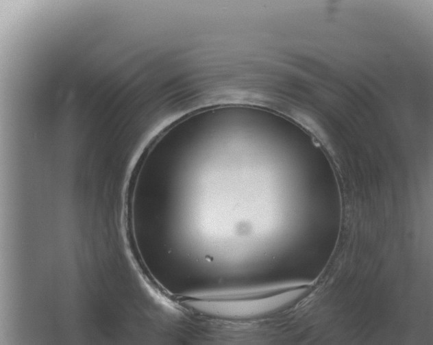 X0000068301136200604281703