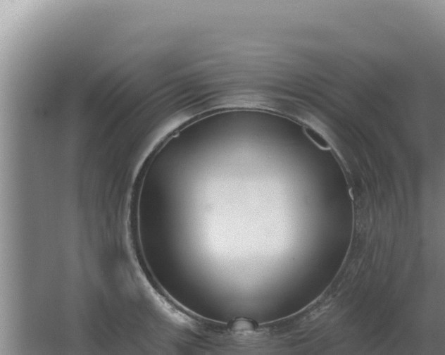 X0000068301139200604281703