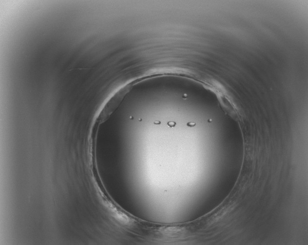 X0000068301140200604281703