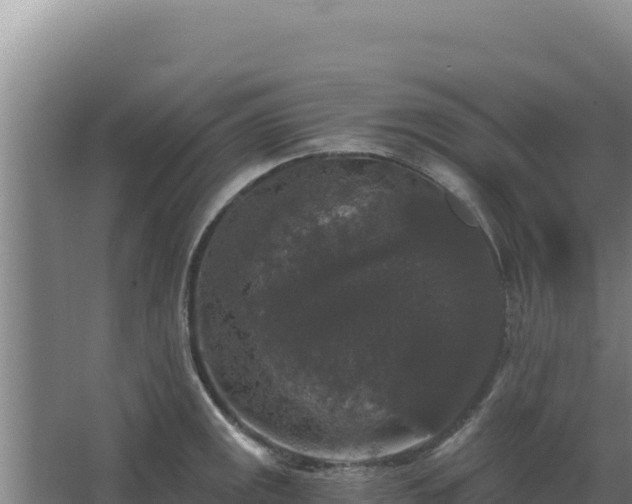 X0000068301141200604281703