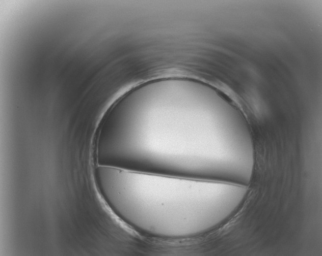 X0000068301142200604281703