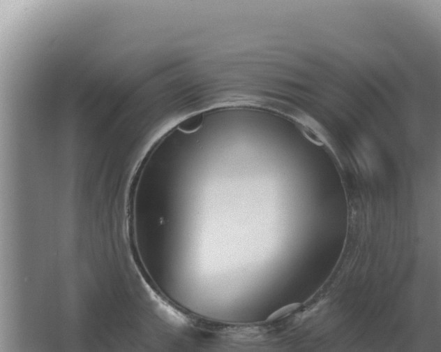 X0000068301143200604281703