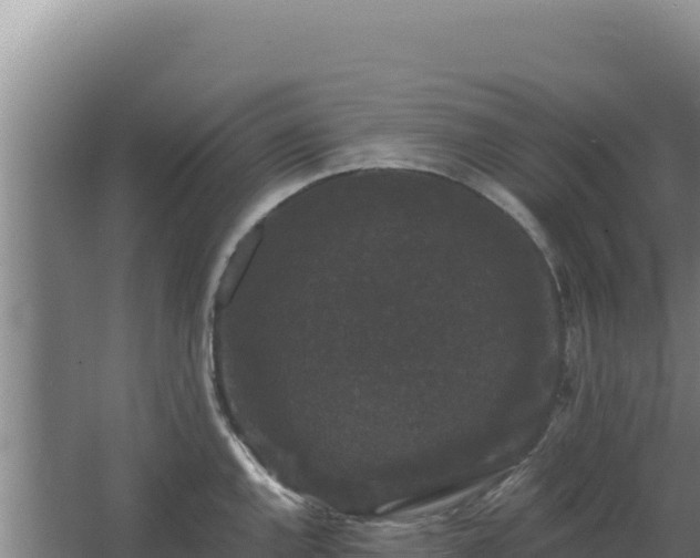 X0000068301144200604281703