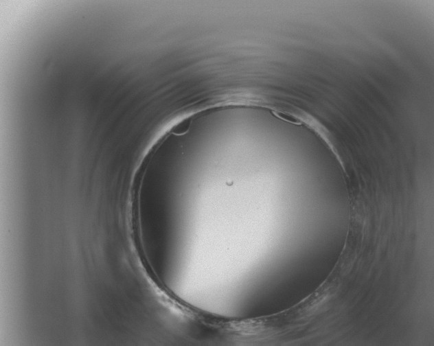 X0000068301147200604281703