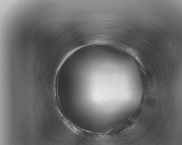 X0000068301148200604281703