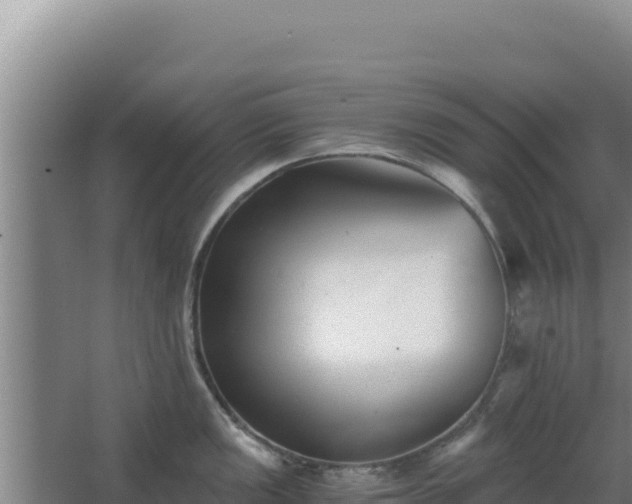 X0000068301149200604281703