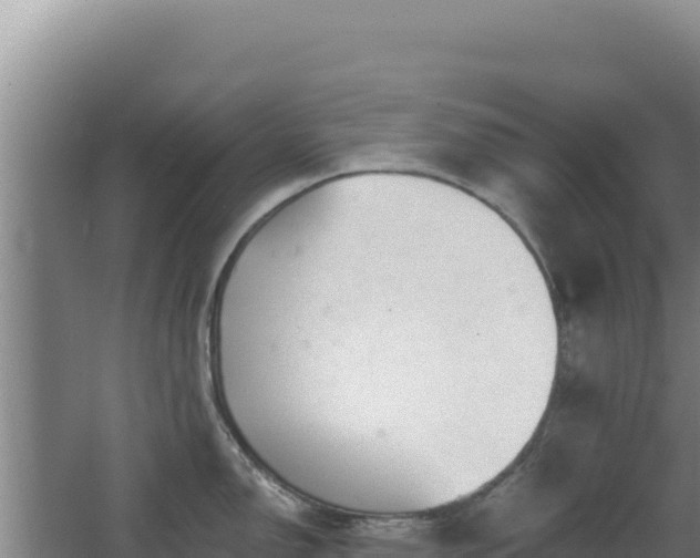 X0000068301150200604281703