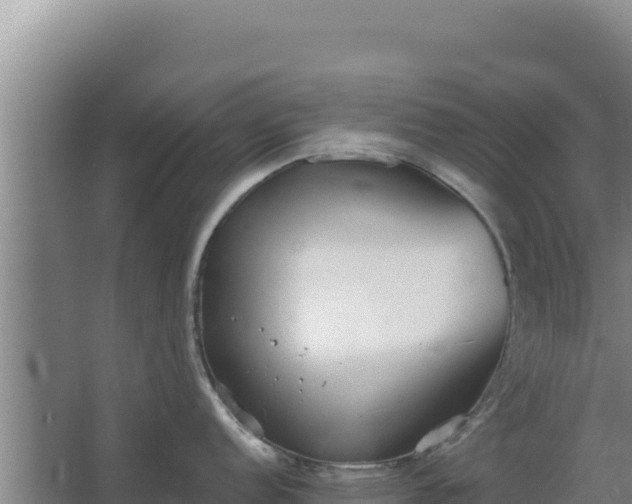 X0000068301152200604281703