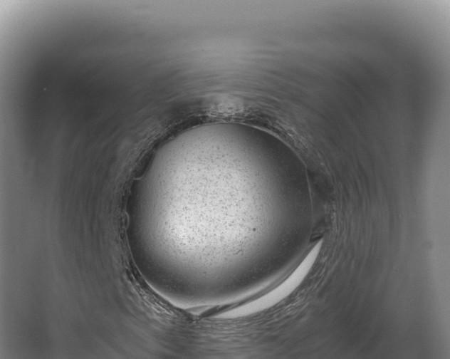 X0000068301153200604281702