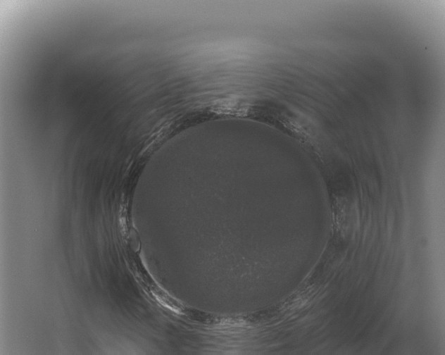 X0000068301154200604281702