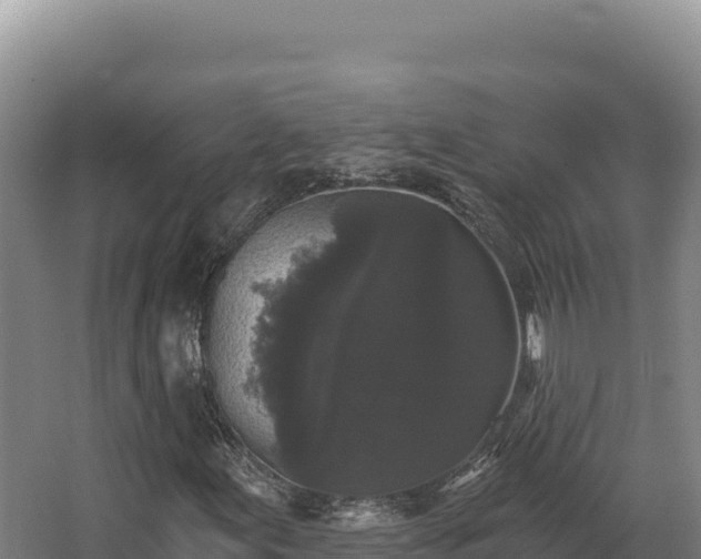 X0000068301155200604281702