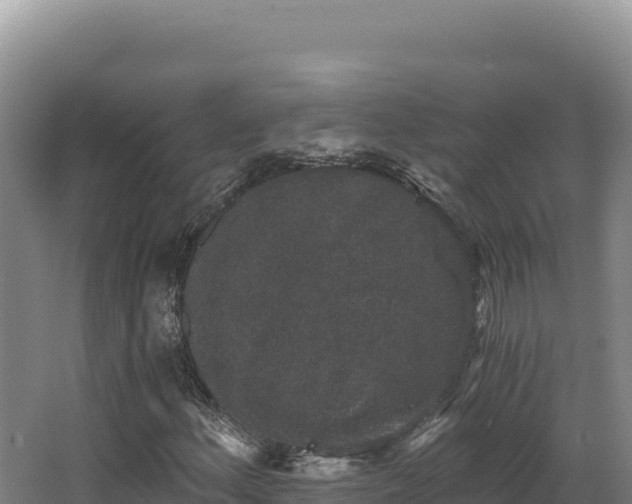 X0000068301156200604281702