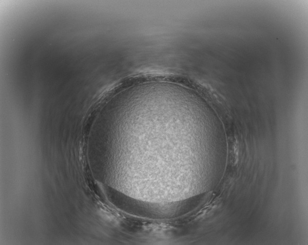 X0000068301157200604281702