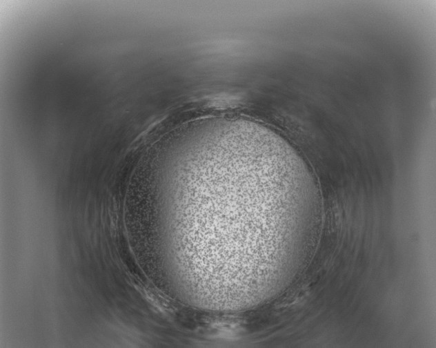 X0000068301158200604281702