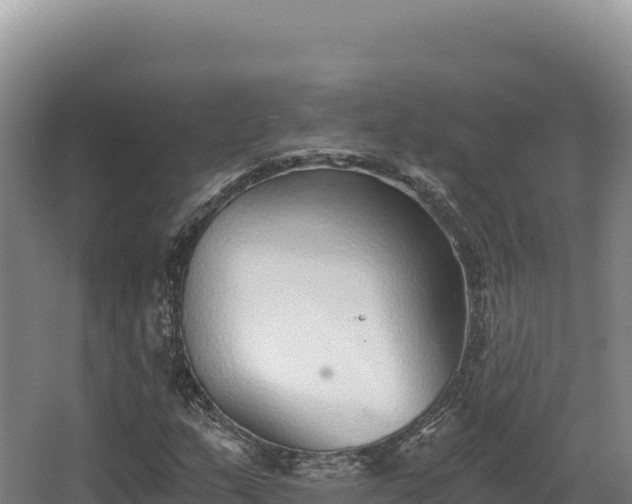 X0000068301159200604281702