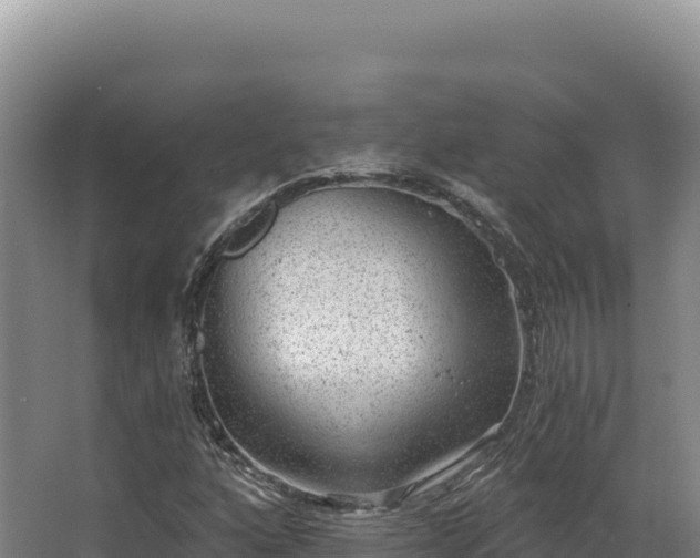 X0000068301160200604281702