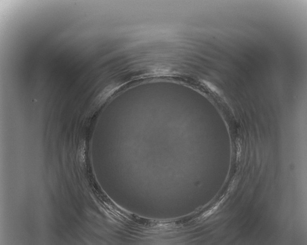 X0000068301161200604281702