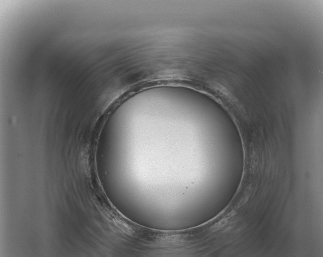 X0000068301162200604281702