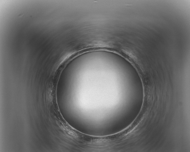 X0000068301163200604281702