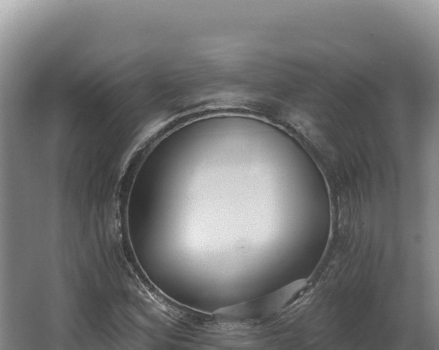 X0000068301164200604281702